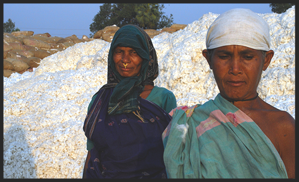 Cotton pickers